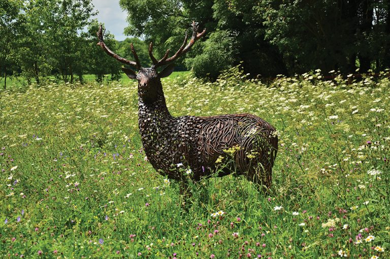 Stag