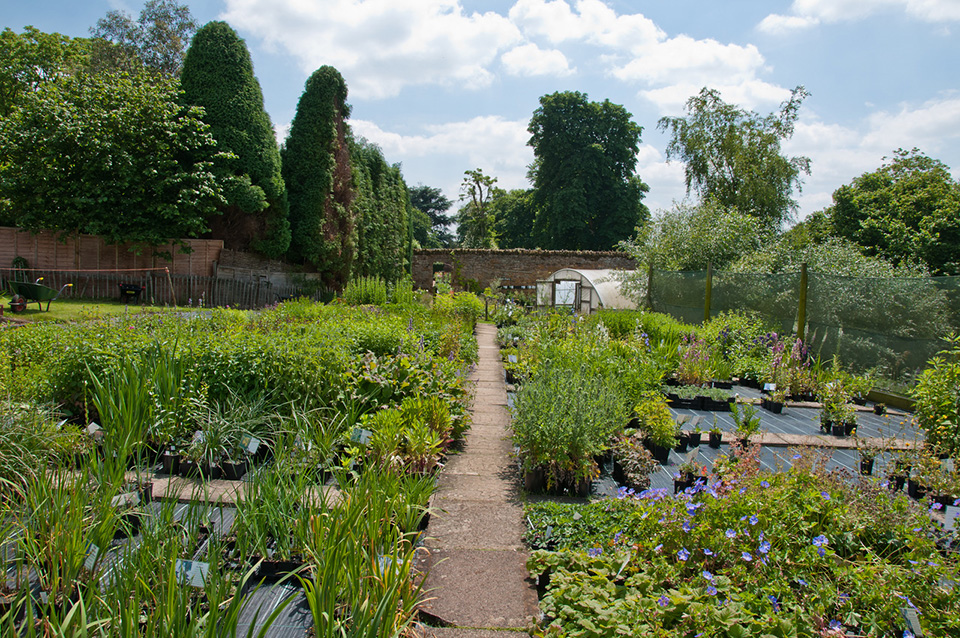 Nursery