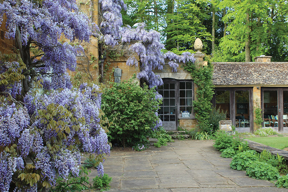 Wysteria