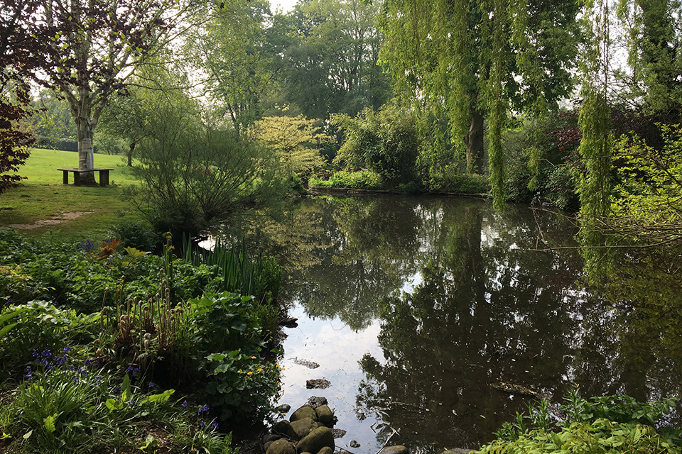 Garden pond