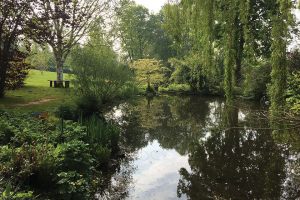 The lake