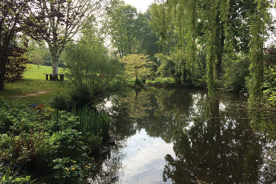 The lake