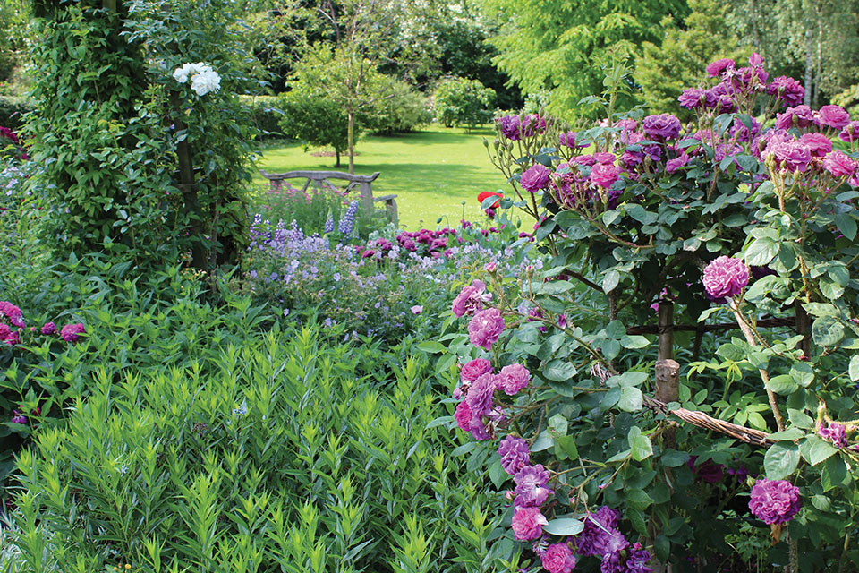 Border and bench