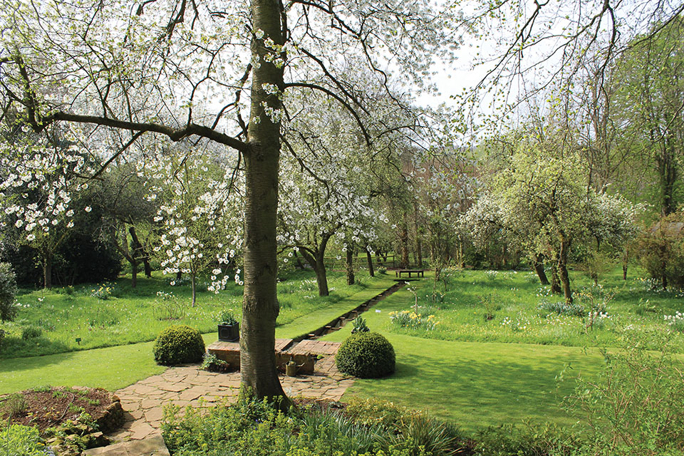 Woodland water feature