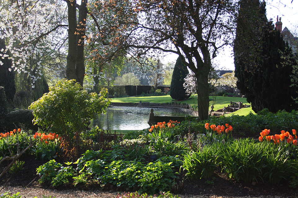 View of the pond