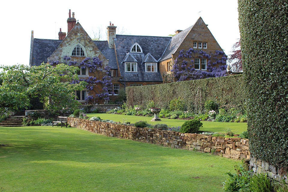 Wysteria on the house