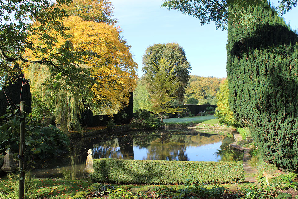 Autumn scene