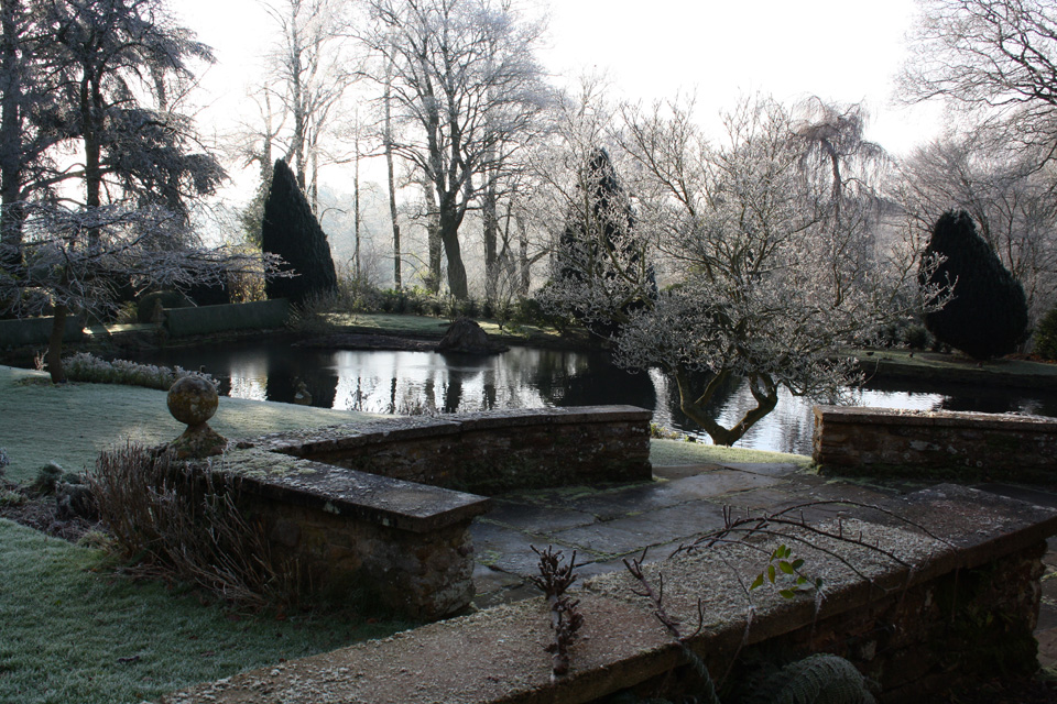 The pond in winter