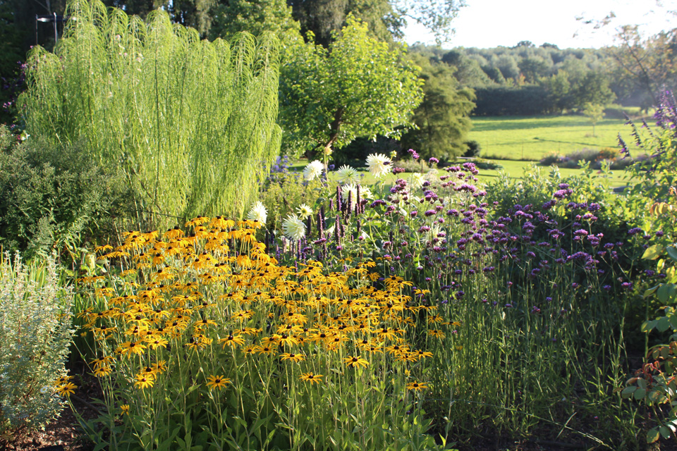 View through Blue and Yellow Border