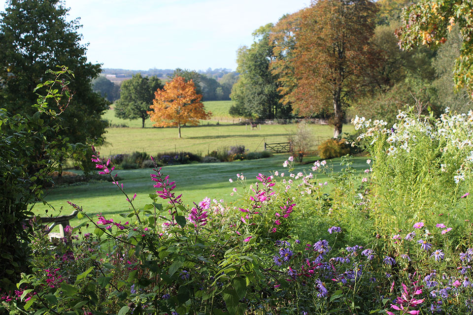 View from Midsummer Border