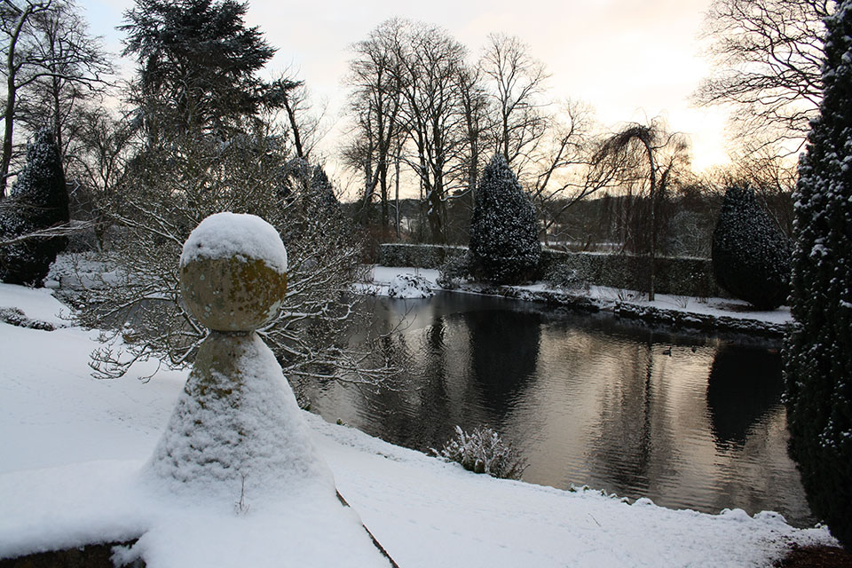 Pond in winter